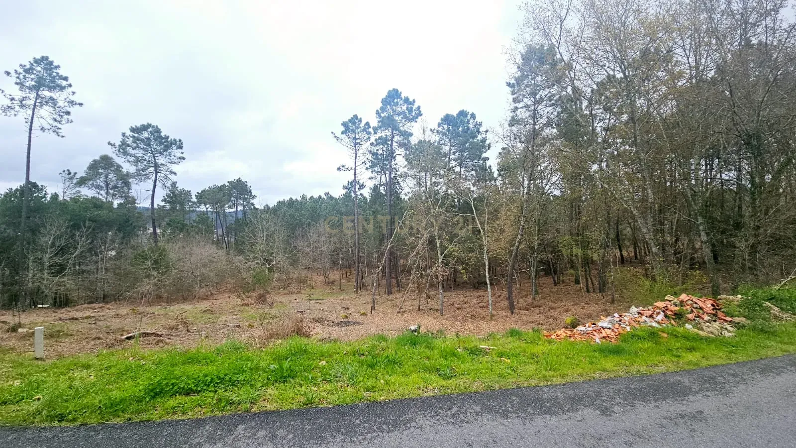 Terreno Construível em Viseu com Vista Panorâmica e Acesso Fácil - Image 4